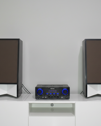 Amplificatore Fenton+ CP Monitor Grundig Box 742