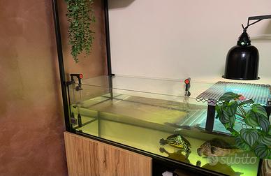 Teca in vetro 100x40