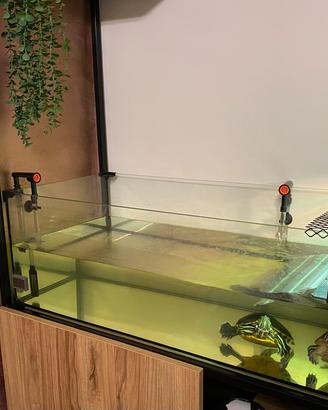 Teca in vetro 100x40