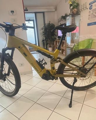Bicicletta Flyer
