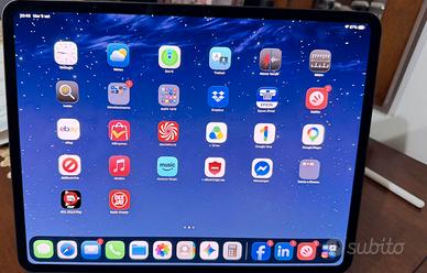 Apple ipad pro M5 13  cellular 256 cover apple