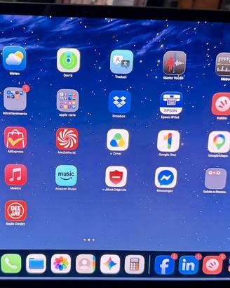 Apple ipad pro M5 13  cellular 256 cover apple