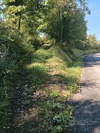 Terreno boschivo