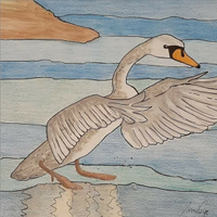 Disegni di Anna Voig