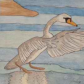 Disegni di Anna Voig