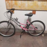 DUE BICICLETTE DA DONNA/RAGAZZA