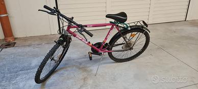 Bicicletta Mountain bike