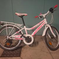 Bicicletta per bambina 8-10 anni