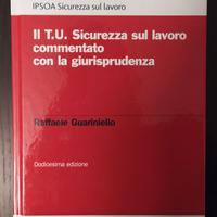 Libro professionale Sicurezza sul lavoro