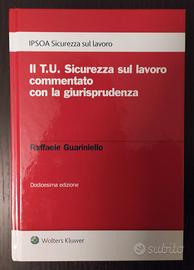 Libro professionale Sicurezza sul lavoro