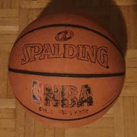 Palla da basket