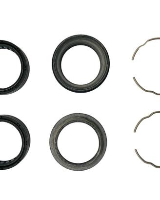 Revisione forcella Ducati Monster ss 34920211a