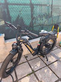 Bicicletta elettrica