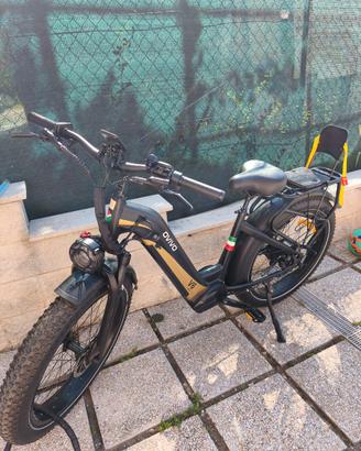 Bicicletta elettrica