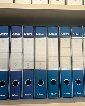 Lotto 14 raccoglitori Dox Esselte Blu