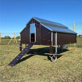 Pollaio per Galline Ovaiole | 25 Animali a Norma