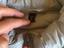 Immagine 4