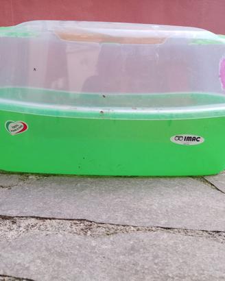 gabbietta per criceti