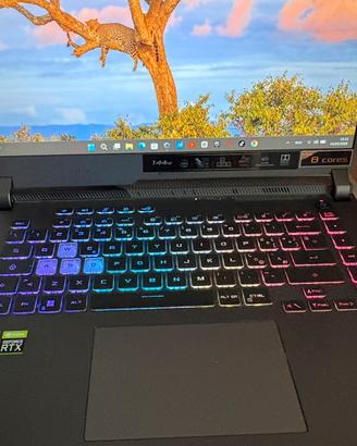 Asus rog strix g15