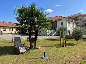 MULTILOCALE A VIGLIANO BIELLESE