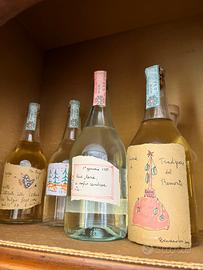 Bottiglie grappa Levi da collezione