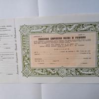 Certificato azionario antico non emesso