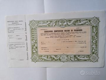 Certificato azionario antico non emesso