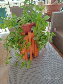 Portapiantine in legno da arredo 