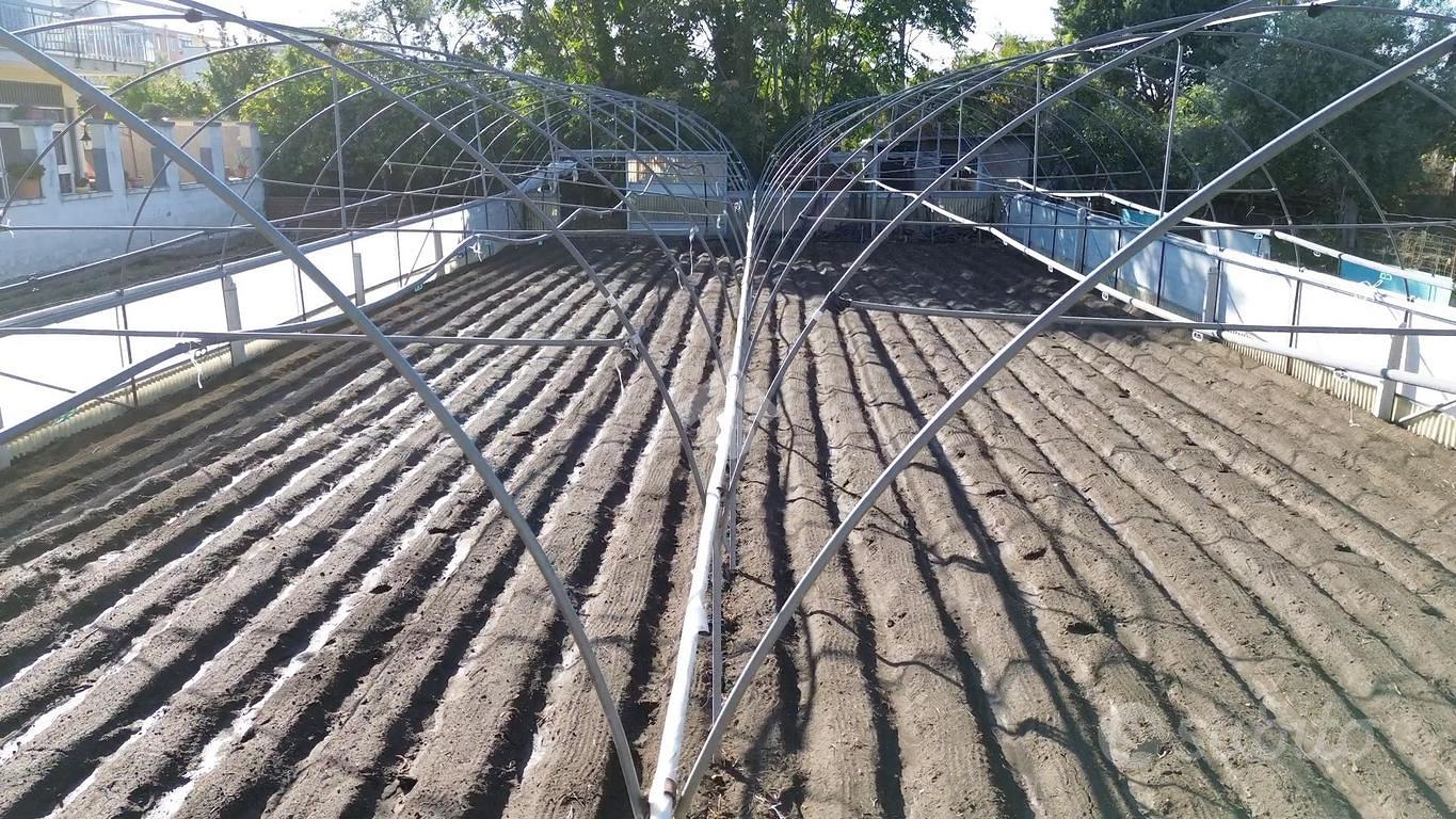 TERRENO A POLLENA TROCCHIA - Vista 5