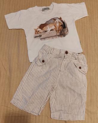 completino con cavalli  in stile  Persis Clayton
