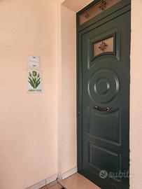 Case vacanze