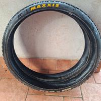 coppia Maxxis aspen  2.25 