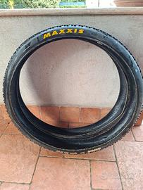 coppia Maxxis aspen  2.25 