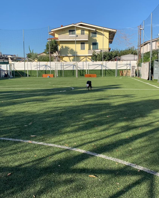 Manto campetto da calcetto con annessi servizi
