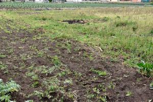 Terreno di 9500 m² a San Valentino Torio
