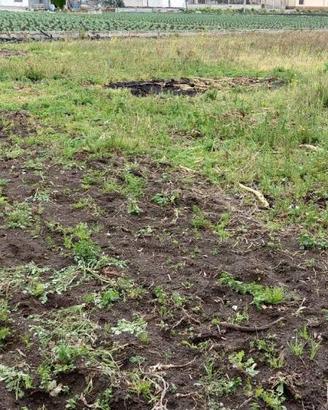 Terreno di 9500 m² a San Valentino Torio
