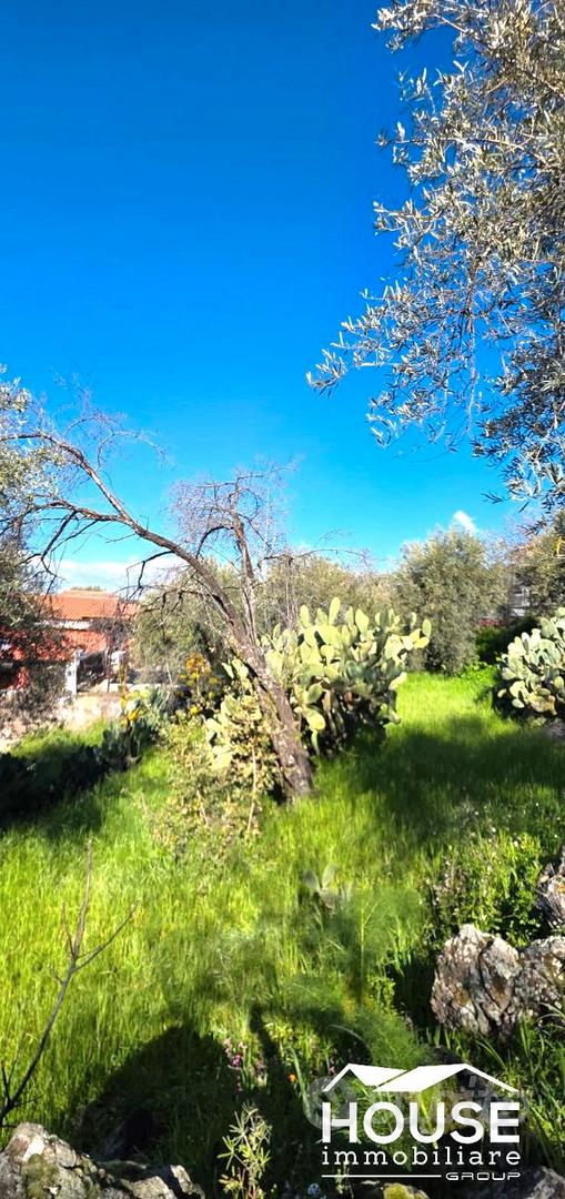 RAGALNA TERRENO AGRICOLO - Vista 5