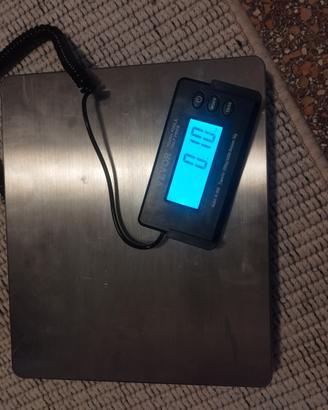 Bilancia elettronica 