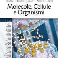 Manuali completi per il semestre filtro