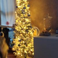 albero slim innevato 