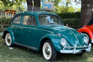 Maggiolino 1963 6v