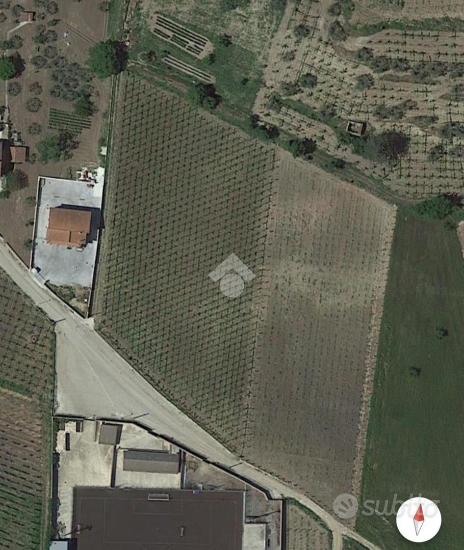 TER. AGRICOLO A FOGLIANISE - Vista 4