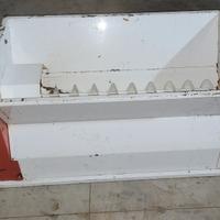 Pigiadiraspatrice uva