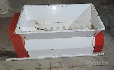 Pigiadiraspatrice uva