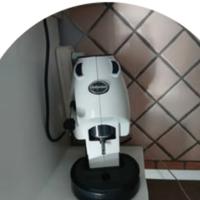 mini frog caffe