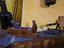 Immagine 2