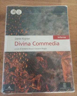 Divina Commedio Inferno Bosco Reggio