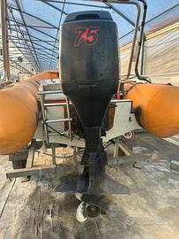 Motore mercury 75-90cv