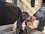 Immagine 6