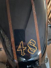 Harley-Davidson 1200 Forty-Eight - Custom unica